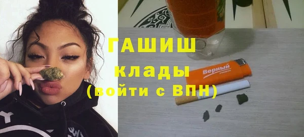 ПСИЛОЦИБИНОВЫЕ ГРИБЫ Няндома