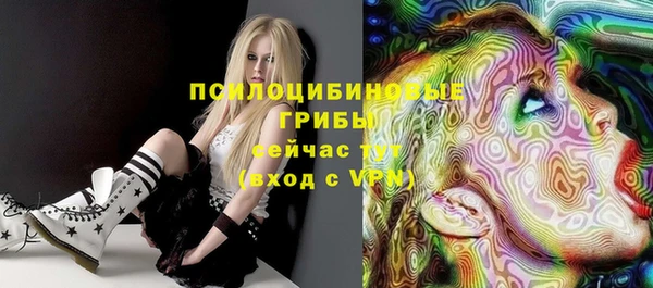 ПСИЛОЦИБИНОВЫЕ ГРИБЫ Няндома