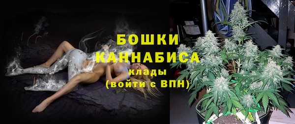 ПСИЛОЦИБИНОВЫЕ ГРИБЫ Няндома