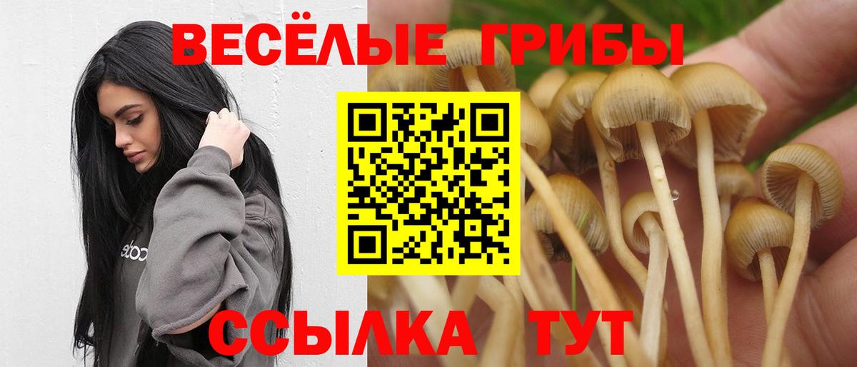 Галлюциногенные грибы Cubensis  Галлюциногенные грибы Psilocybine cubensis  Вход с VPN  Лянтор 
